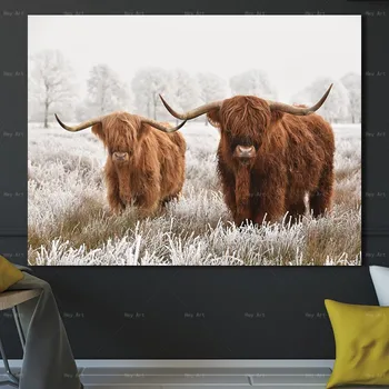 Moderné Domova Obrázok Tlače Highland Krava Plátno Maľby Kresby na Stenách obývačky bez rámu Výtlačkov