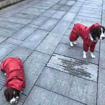 TOMEPETS Psa pršiplášť ľahké nepremokavé psa pončo golden-retriever pláštenka dážď zariadenia s reflexné pásy veľký pes